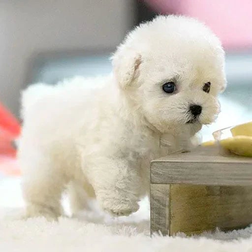 Interactive Plush Companion Dog