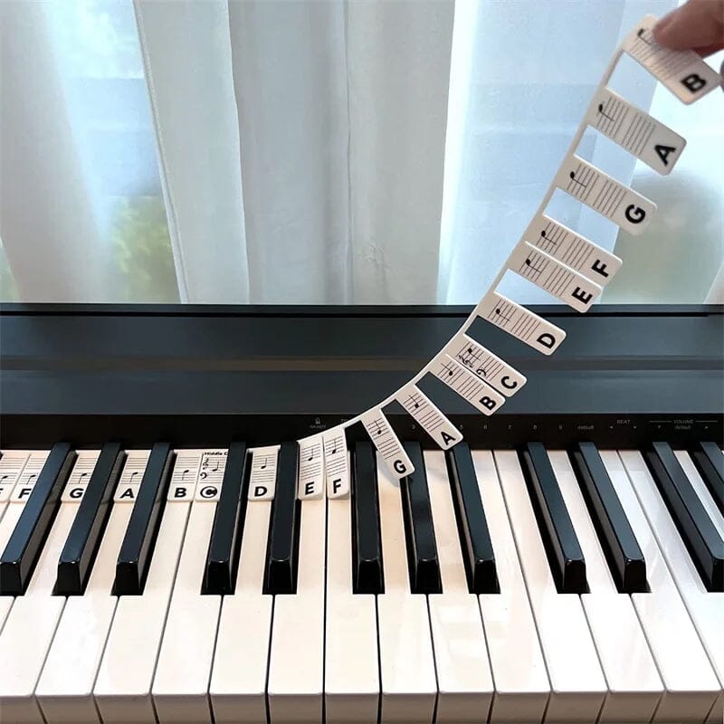 Removable Piano Note Labels