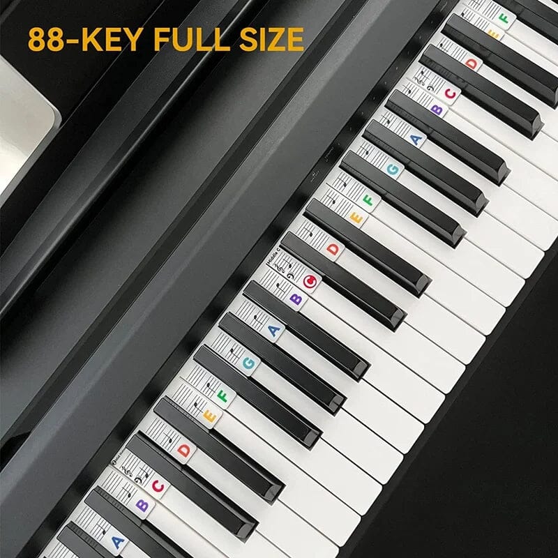 Removable Piano Note Labels