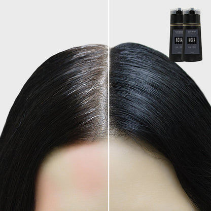 Colour Shampoo