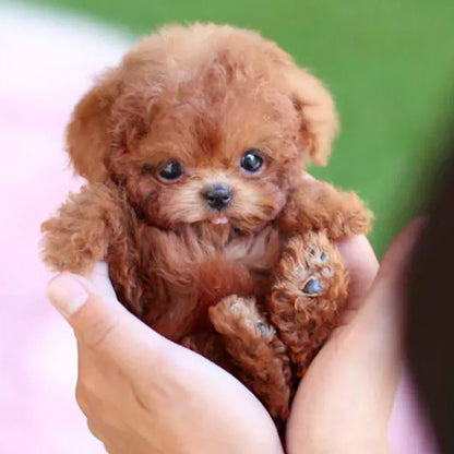 Interactive Plush Companion Dog