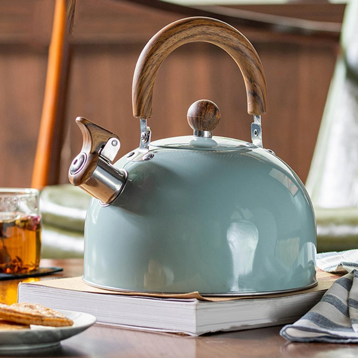 Whistling Stainless Steel Kettle