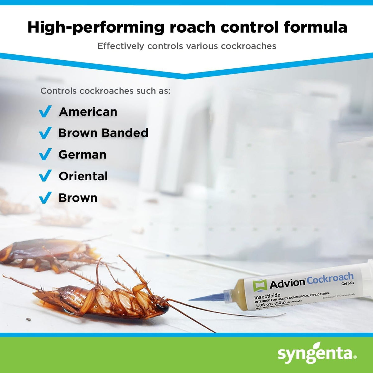 Cockroach Gel Bait Syringe