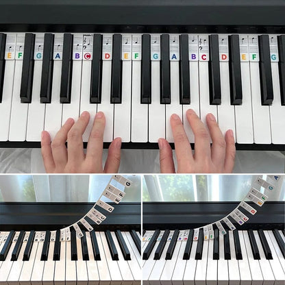 Removable Piano Note Labels