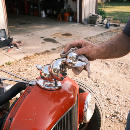 Duck hood ornament on car
