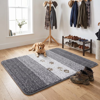 Washable absorbent rug in a home entrance
