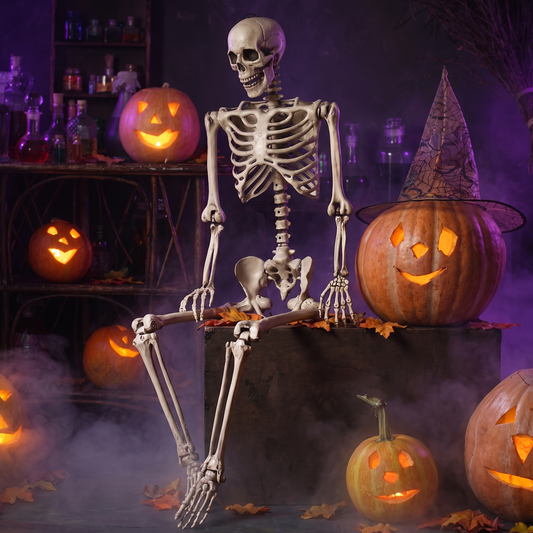 Halloween Life Size Full Body Skeleton Prop