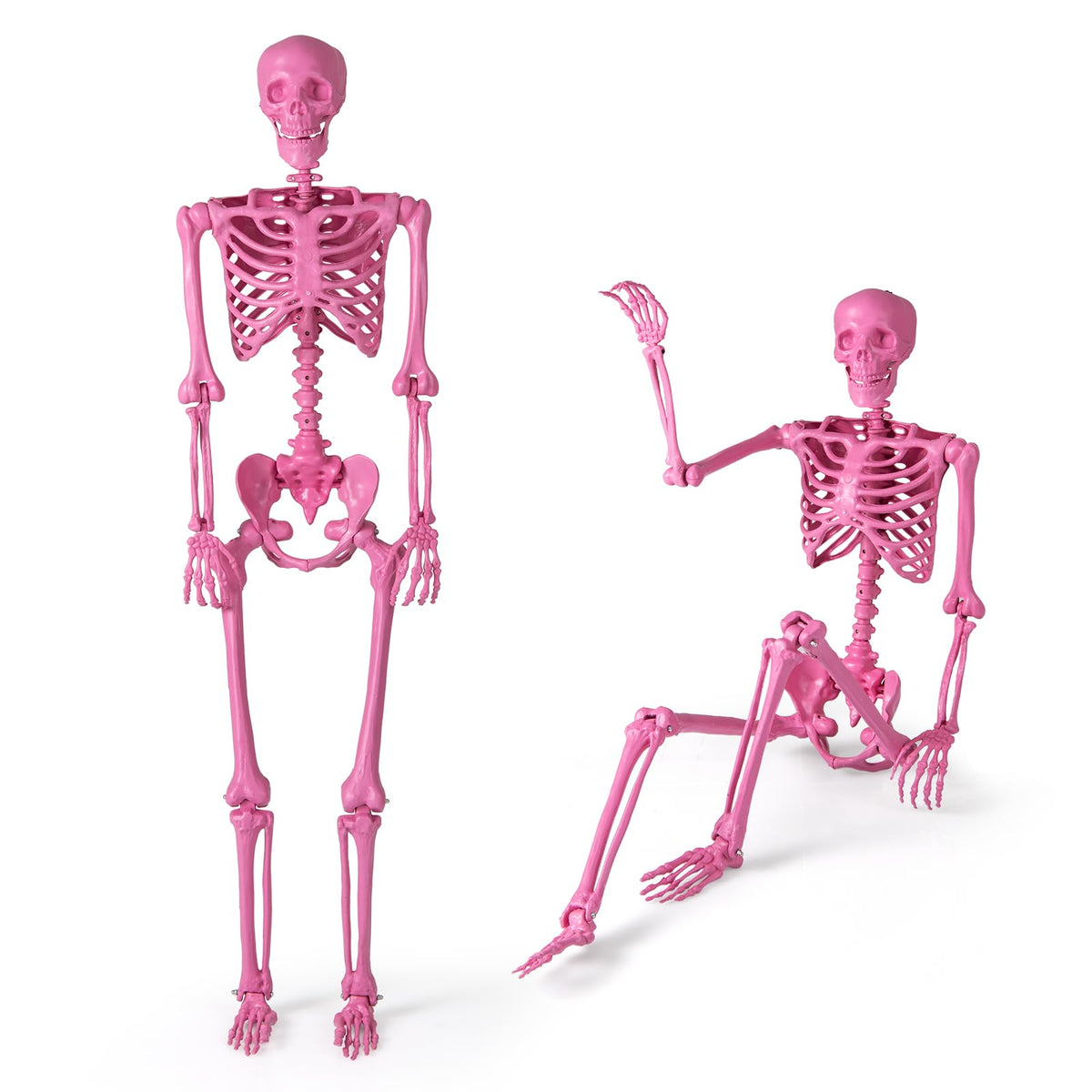 Life-Size Posable Pink Skeleton, 63 In