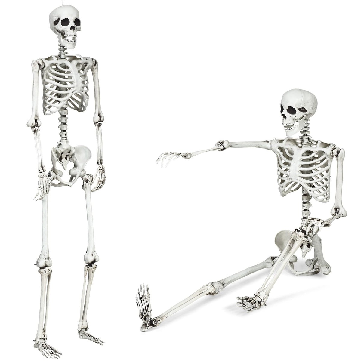 5.4 Ft Life Size Posable Halloween Skeleton