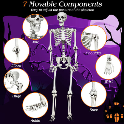 5.4 Ft Life Size Posable Halloween Skeleton