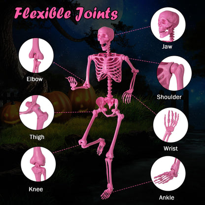 Life-Size Posable Pink Skeleton, 63 In