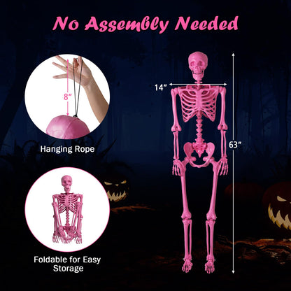 Life-Size Posable Pink Skeleton, 63 In
