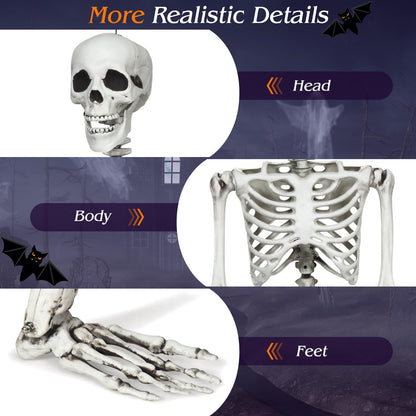 5.4 Ft Life Size Posable Halloween Skeleton