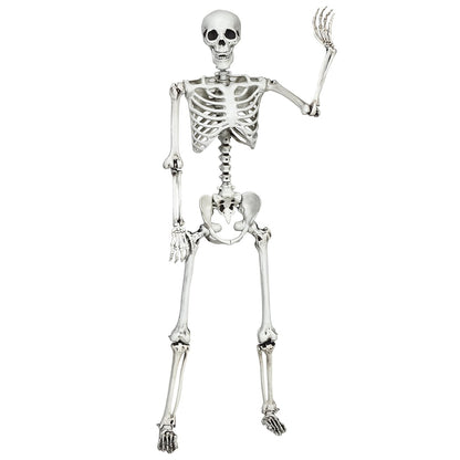 5.4 Ft Life Size Posable Halloween Skeleton